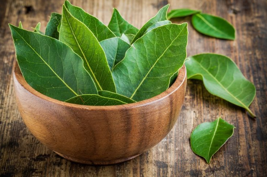 Uji Toksisitas Akut dan Subkronik Ekstrak Etanol Daun Salam sebagai Antihipertensi